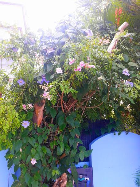 Pousada Los Casarones Florianopolis Exterior foto
